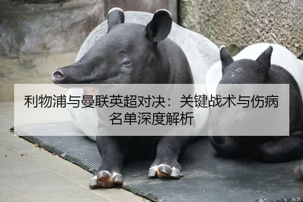 利物浦与曼联英超对决：关键战术与伤病名单深度解析